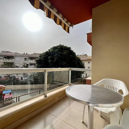 Palomas